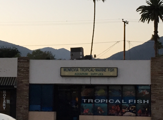 Monrovia Tropical Fish - Monrovia, CA