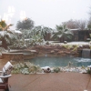 Collin County Pools.com gallery