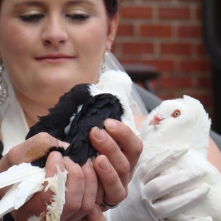 White Dove Release - Charlotte, NC