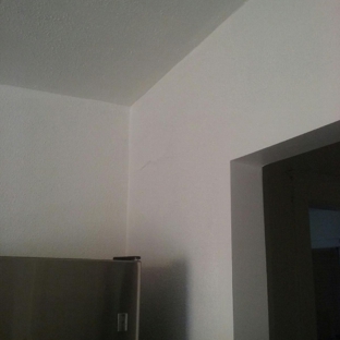 TAJ Property, LLC - Grand Rapids, MI. Interior Paint 3