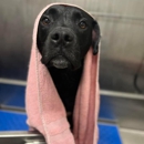 Unleashed Pet Resort - Hostels