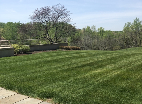 Sandoval\u2019s Tree Service and Landscaping - Louisa, VA