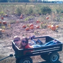 Lendt's Pumpkin Patch - Fruit & Vegetable Growers & Shippers