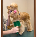 Capital City Spay and Neuter Clinic - Veterinarians