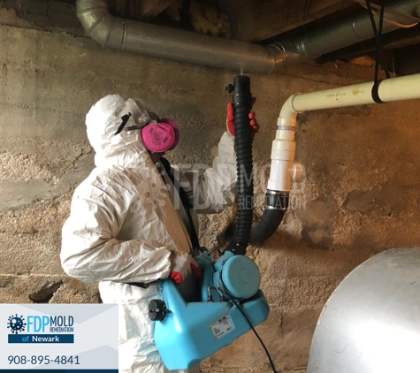 FDP Mold Remediation of Newark - Newark, NJ