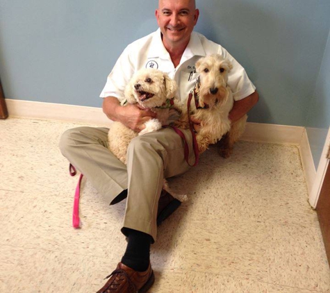 Ormond Beach Veterinary Clinic - Ormond Beach, FL