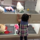 Family Pet Center