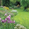 RMI Lawn Care gallery