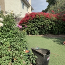 Benny's Gardening Service - Sprinklers-Garden & Lawn, Installation & Service