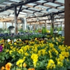 Bellevue Nursery Inc gallery