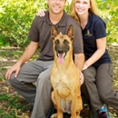 Dog Training Elite - Pet Training