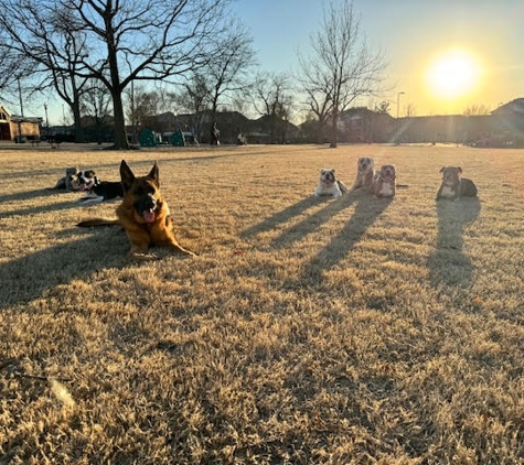 Last Chance Dog Training