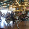 St. Louis Carousel At Faust Park gallery