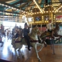 St. Louis Carousel At Faust Park