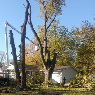 Wes' Tree Service - Oregon, IL