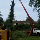 SavATree