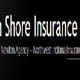 South Shore Insurance-Christine J Newton Agency