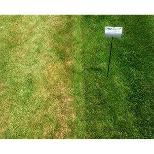 TruGreen Lawn Care - Meridian, ID