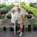 American Heritage Trees - Nurseries-Plants & Trees