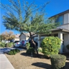 Rios Lawn & Tree Care gallery