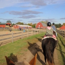 Brighton Riding Stable - Hay Rides