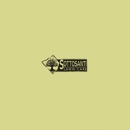 Sottosanti Lawn Care - Gardeners
