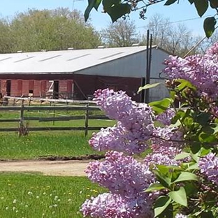 Double J Ranch Boarding Stable, Indoor Arena and Hobby Farm - Hale, MI