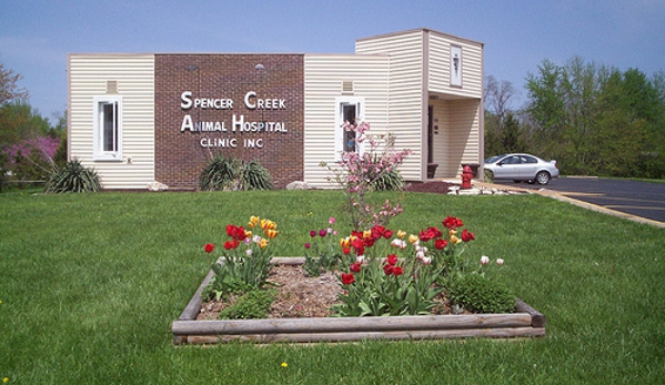 Spencer Creek Animal Hospital - Saint Peters, MO