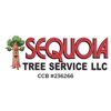 Sequoia Tree Service gallery