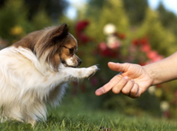 COUNTRYCARE ANIMAL COMPLEX INC - Green Bay, WI