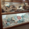 Turquoise Tortoise Gallery gallery