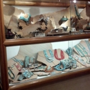 Turquoise Tortoise Gallery - Art Galleries, Dealers & Consultants