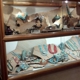 Turquoise Tortoise Gallery