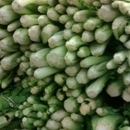 Golden Bowl - Fruit & Vegetable Markets