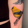 Absolute Body Art gallery