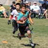 Grid Iron Flag Football - Denver Tech Center gallery