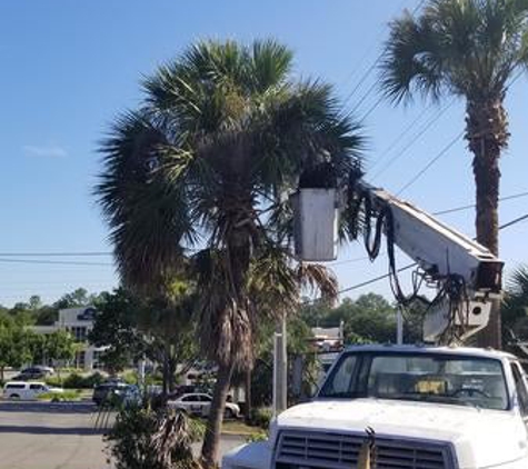 Florida all Outdoor services - Hawthorne, FL