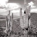 Tonto National Monument - Monuments