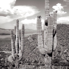 Tonto National Monument