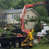 Big Chipper Tree Service gallery