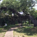 Capitol Tree Care - Tree Service