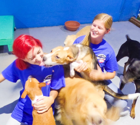 24 Hour Dog Daycare - San Diego, CA