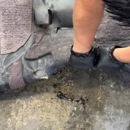 Concours Auto Detailing Ceramic Coating - Automobile Detailing