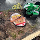 Riccabona's Landscape & Tree Service Inc. - Fence Repair