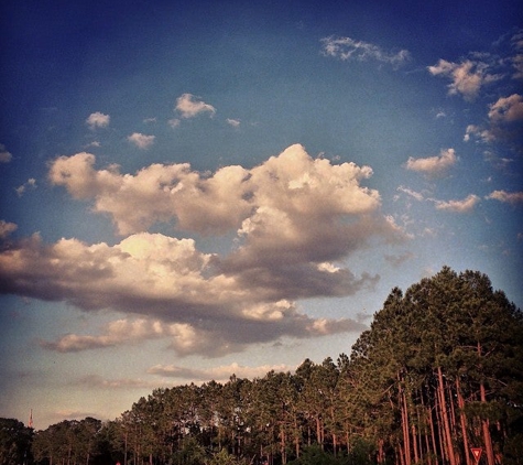 Wall Springs Park - Palm Harbor, FL