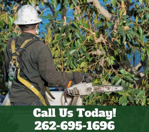 Dan's Tree Service Inc. - New Berlin, WI