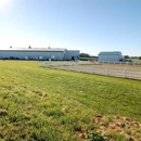 Showtime Farms - Horse Breeders