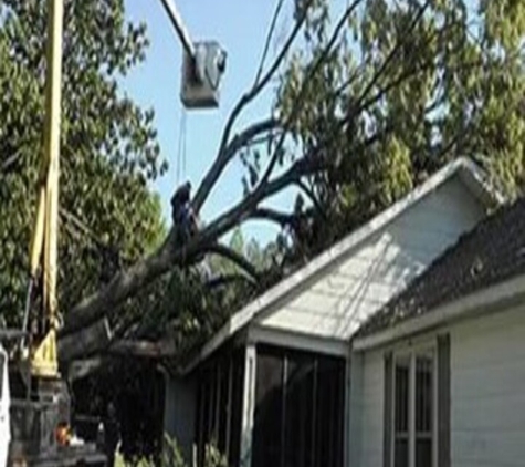 Childress Complete Tree Service