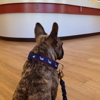 Norwell Veterinary Hospital gallery