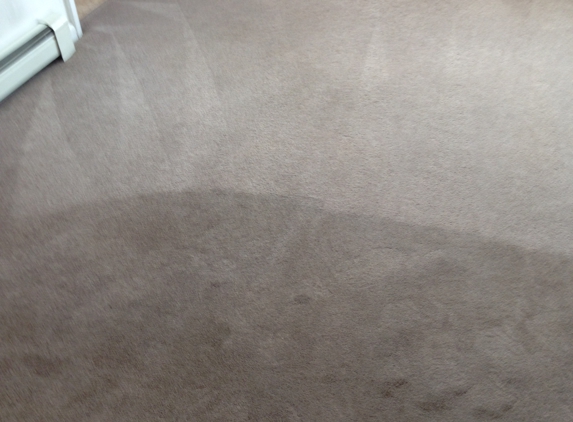 Black Bear Carpet Cleaning and Repair - Durango, CO